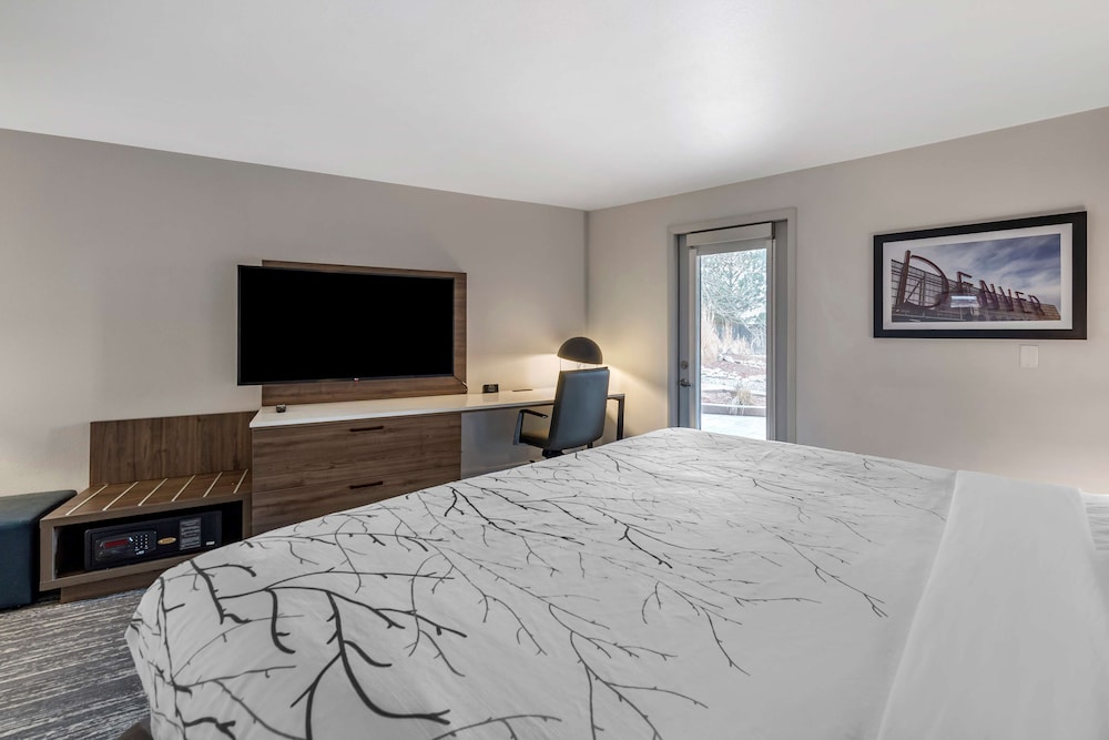 Suite, 1 King Bed, Non Smoking, Balcony (with Sofabed) - Photo 4
