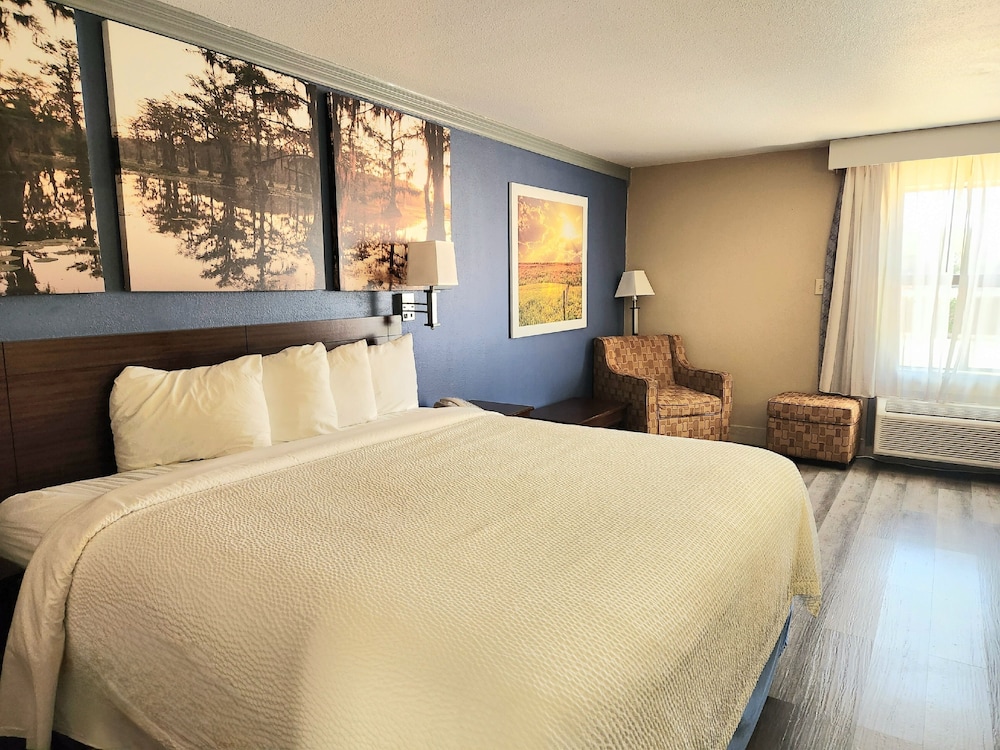 Room, 1 King Bed, Non Smoking - Photo 5