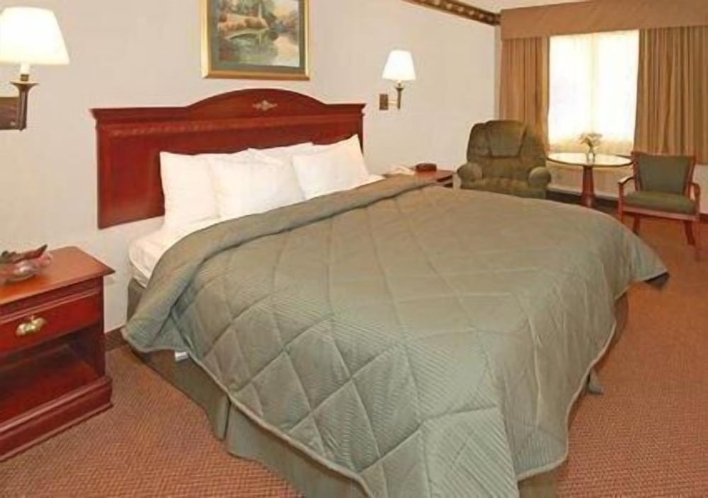 Standard Room, 1 King Bed, Non Smoking photo 1