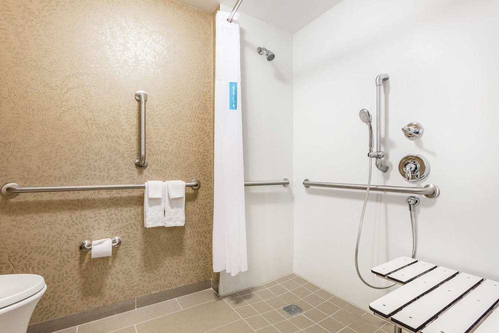 Room, 1 King Bed, Accessible (Roll-In Shower)