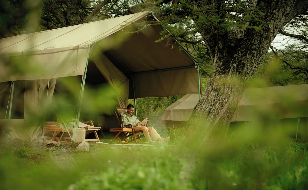 Standard Tent, 1 King Bed, Valley View photo 3