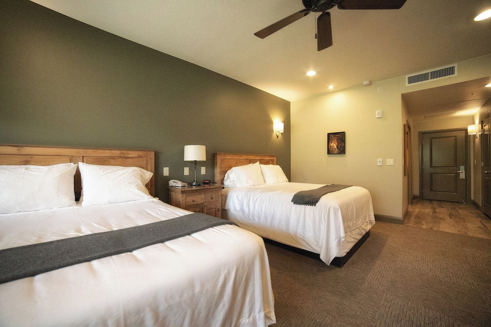 Premium Room, 2 Queen Beds, Accessible, Patio photo 1