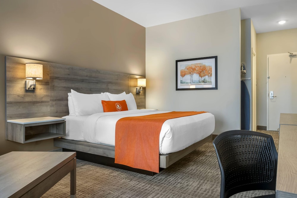 Standard Room, 1 King Bed, Non Smoking photo 3