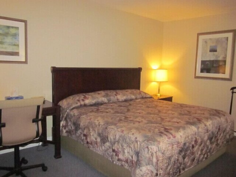 Superior Room, 1 King Bed photo 1
