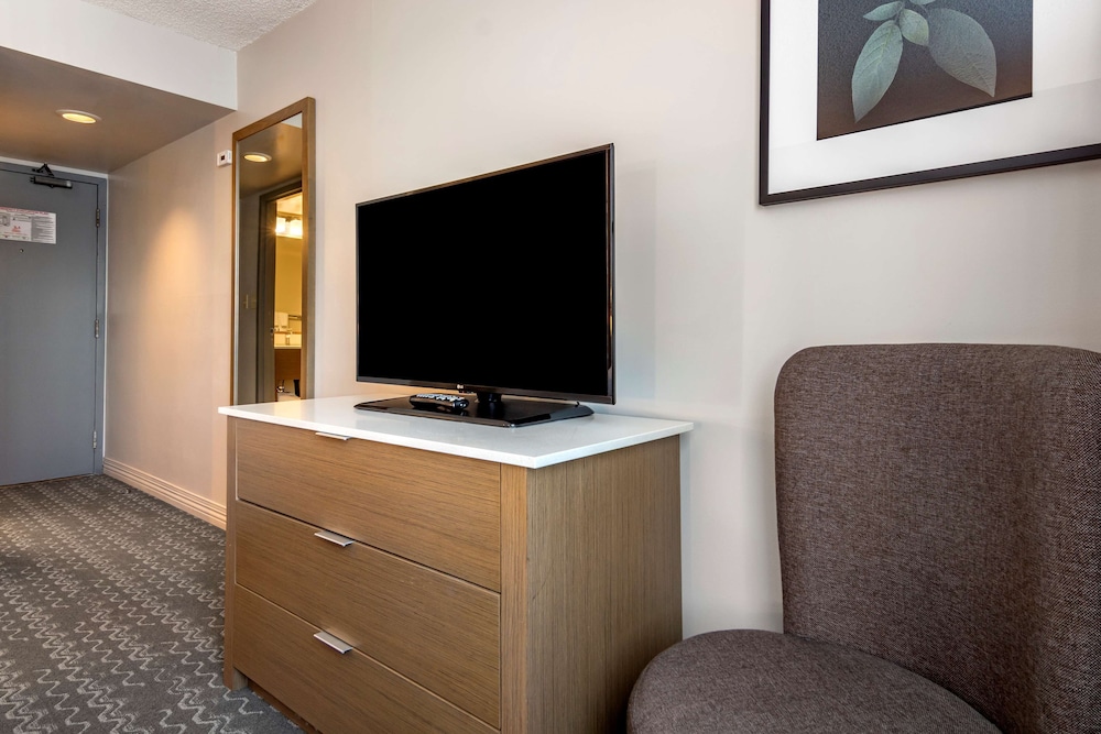 Suite, 1 King Bed, Non Smoking (with Sofabed) - Photo 5