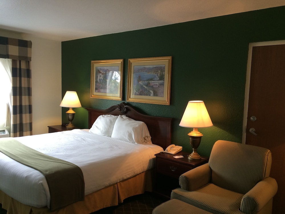 Basic Room, 1 King Bed photo 2