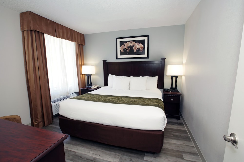 Suite, 1 Queen Bed, Accessible, Refrigerator & Microwave (with Sofabed) - Photo 2