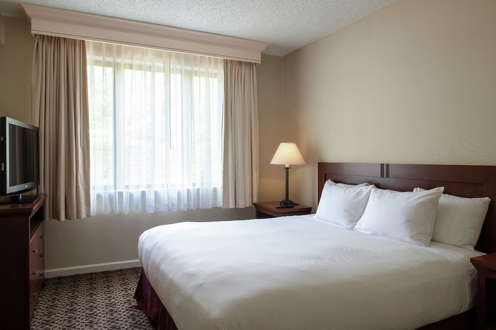 Suite, One King Bed, Accessible - Photo 4