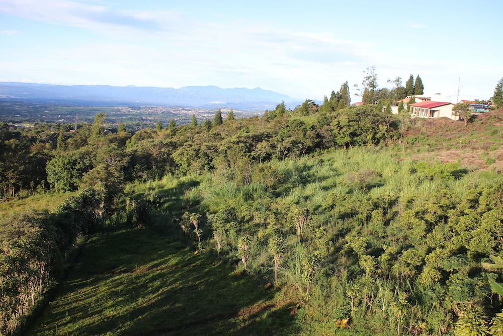 Panoramic Condo, Multiple Beds, Non Smoking, Mountain View photo 3