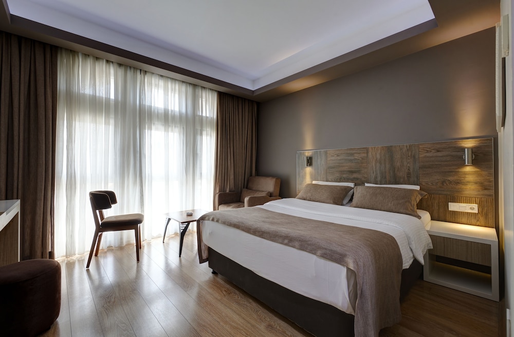 Deluxe Room, 1 Queen Bed with Sofa bed photo 3