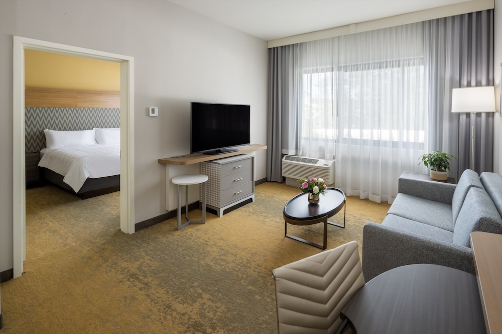 Suite, 1 King Bed - Photo 3