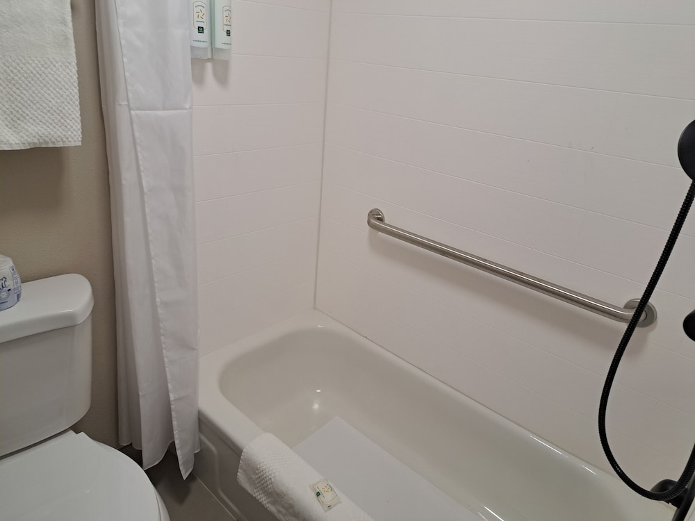 Room, 1 King Bed, Accessible, Non Smoking - Photo 9