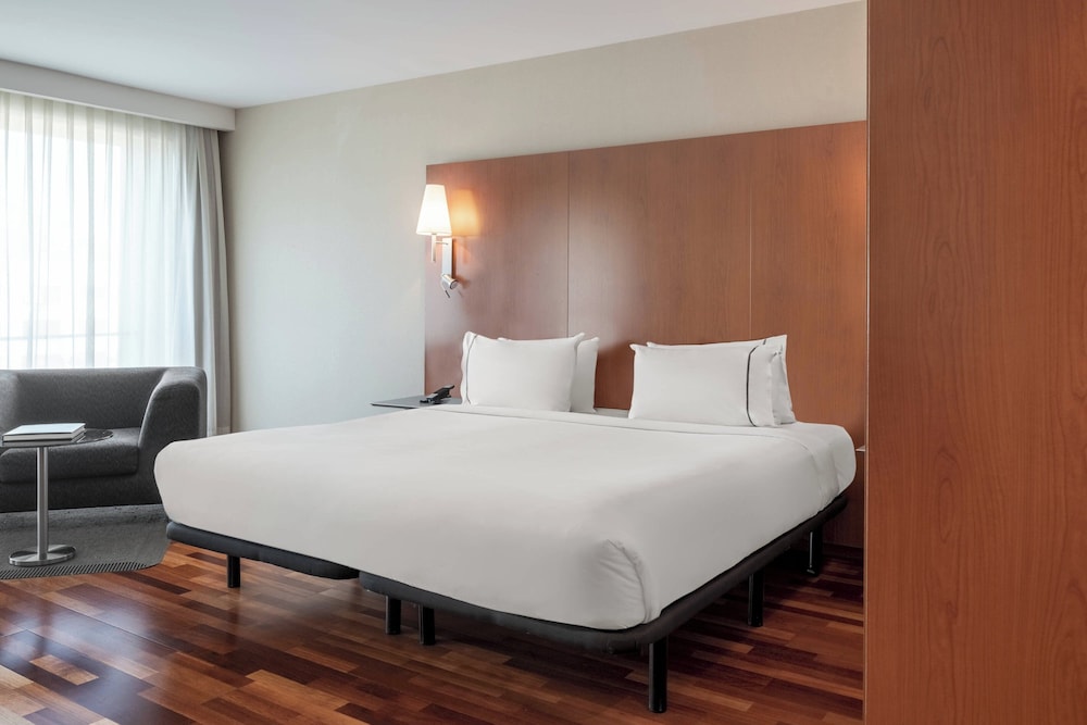Suite, 1 King Bed with Sofa bed