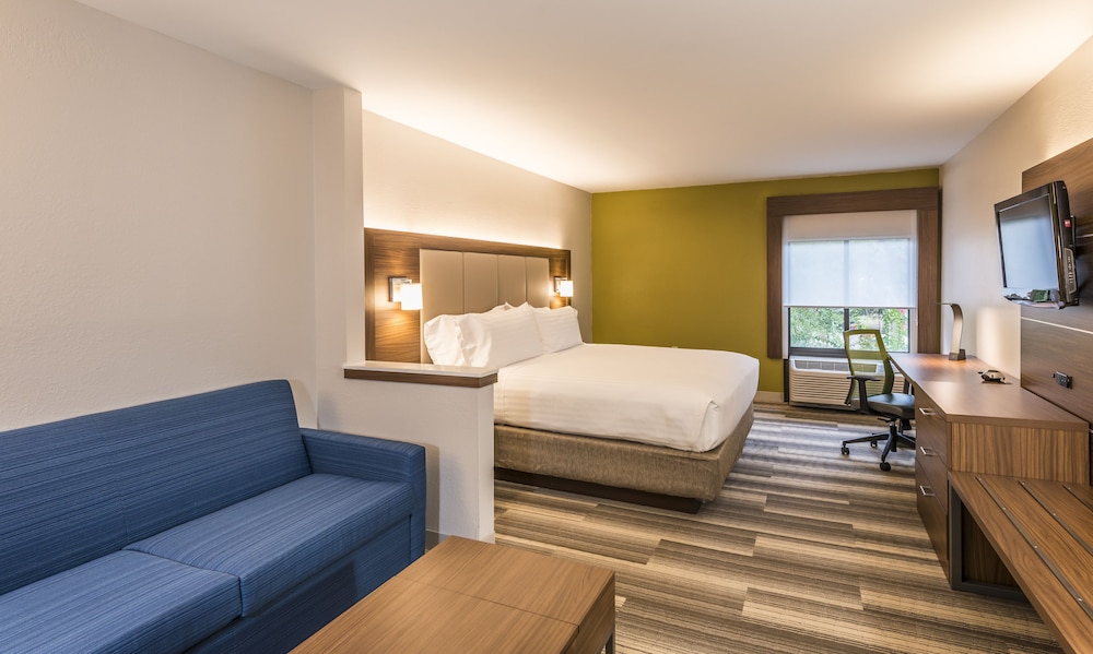 Suite, 1 King Bed, Accessible (Communications, Roll-In Shower) photo 1