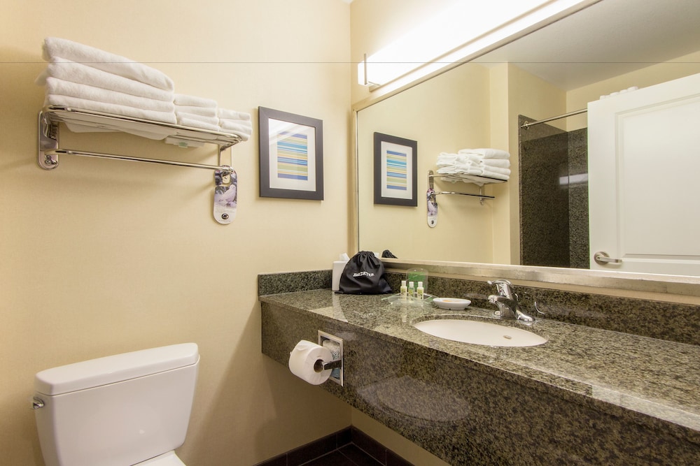 Suite, 1 Bedroom - Photo 5