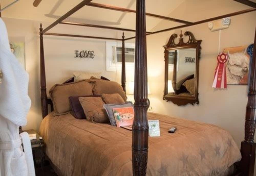 Room (Valentino) photo 2
