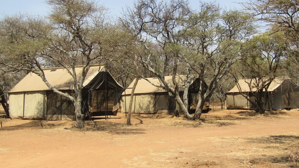 Little Zebra Camp Site photo 2