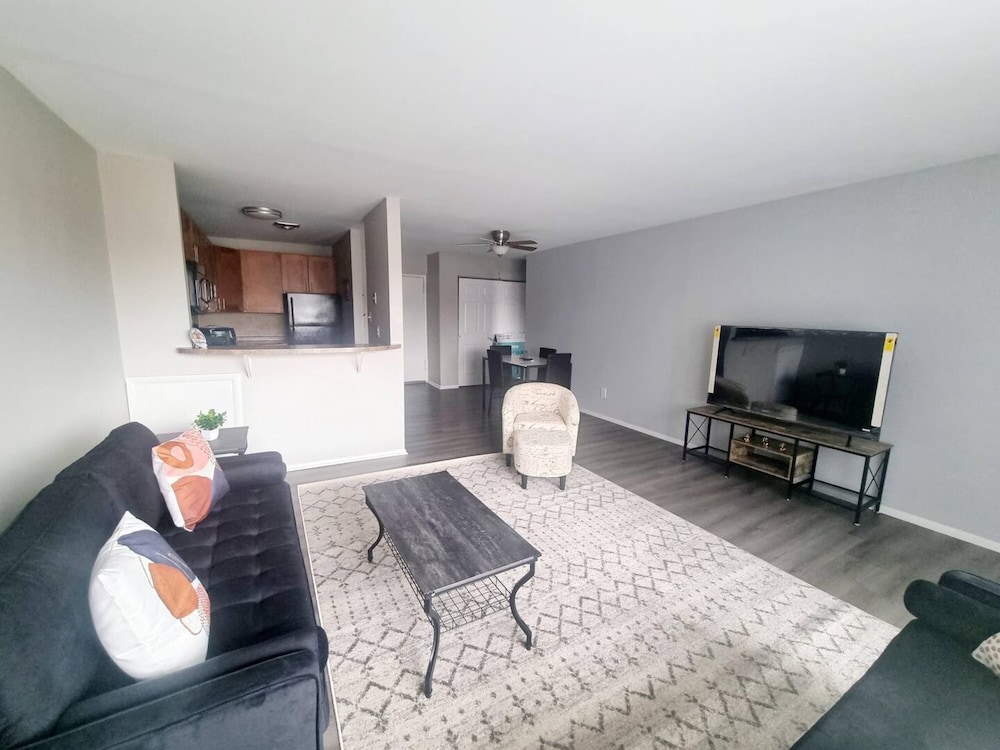 Great Clean Modern Long Term, 사진 14
