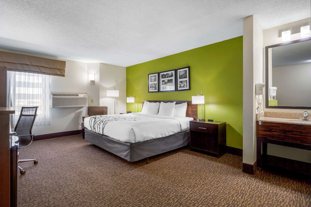 Standard Room, 1 King Bed, Non Smoking, Refrigerator & Microwave - Photo 7