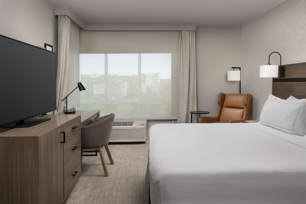 Suite, 1 King Bed (3x3 Shower) - Photo 1