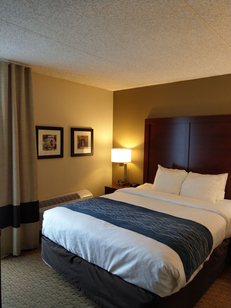 Standard Room, 1 King Bed with Sofa bed, Accessible, Non Smoking (Roll In Shower) - Photo 2