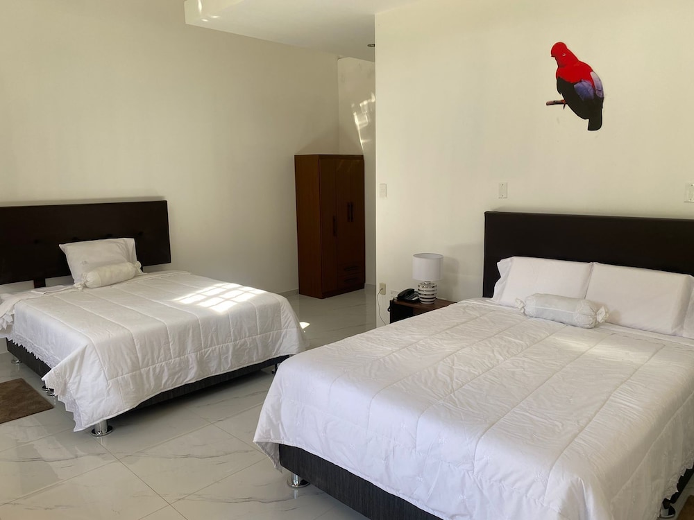 Standard Double Room photo 3