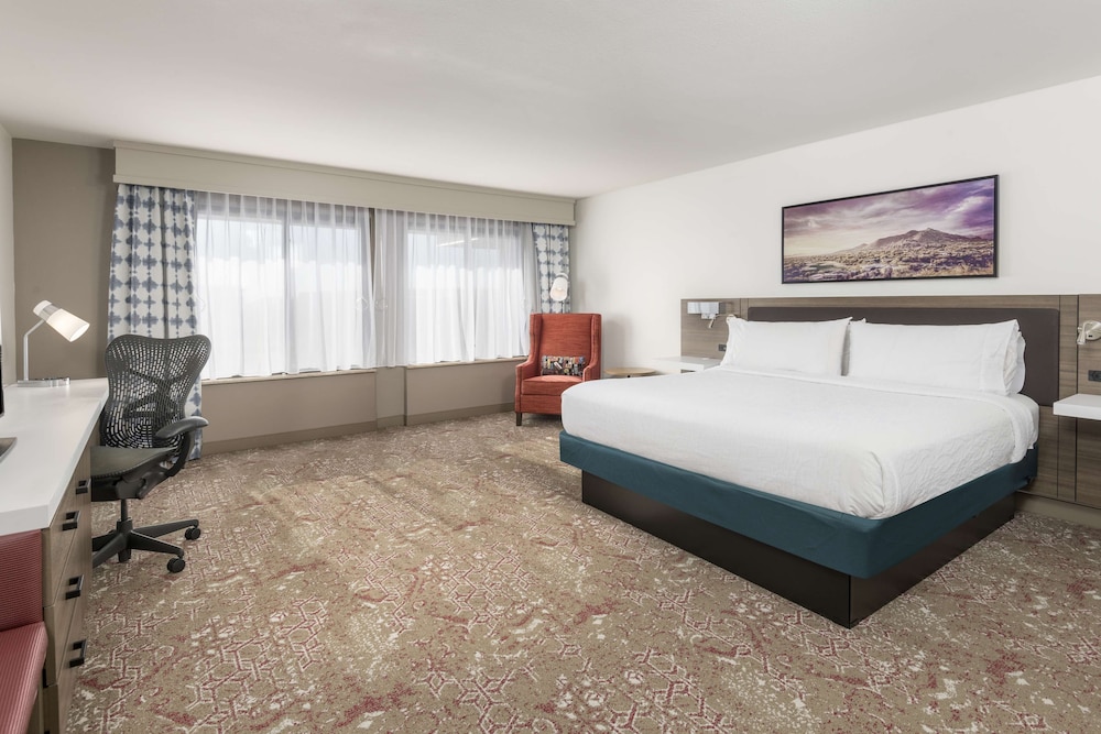 King Bed Accessible Room - Photo 1