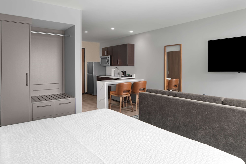 Suite, 1 Bedroom - Photo 1