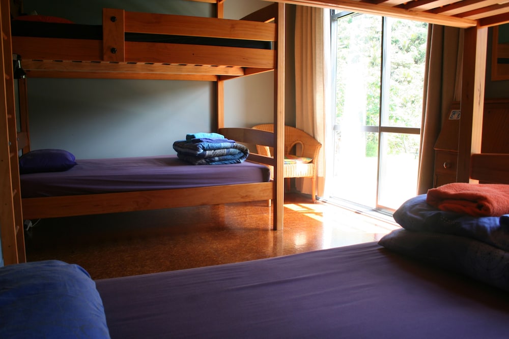 Shared Dormitory photo 1