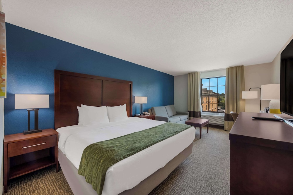 Classic Room, 1 King Bed with Sofa bed, Non Smoking photo 2
