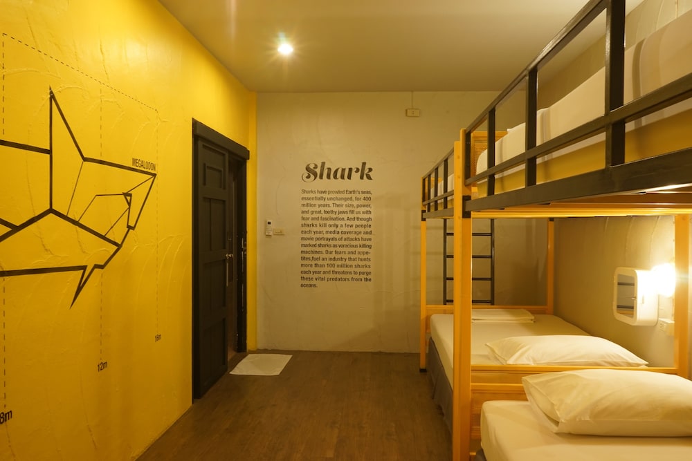 2 Bed In Female 4 Beds Dormitory Room - Air Con photo 3