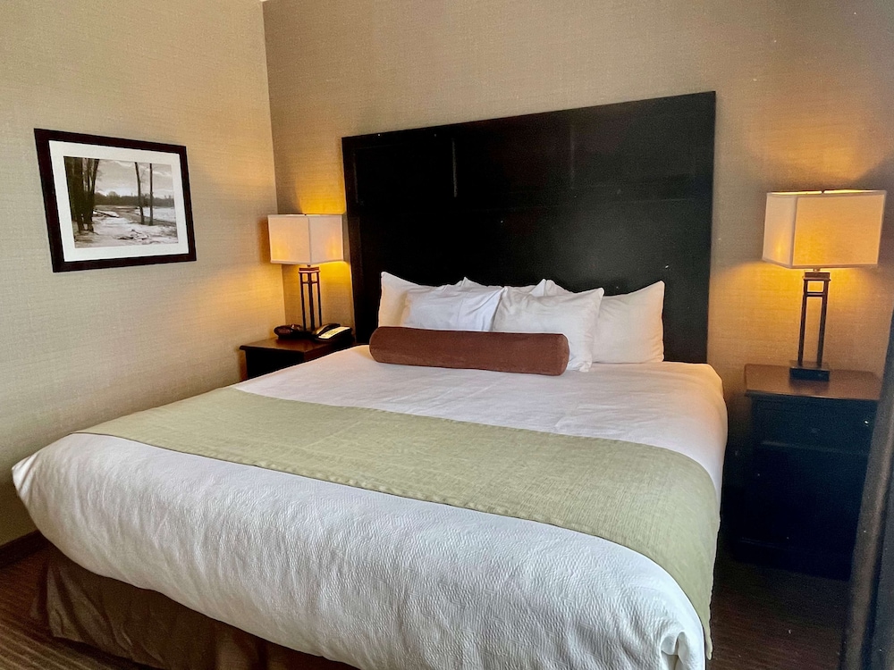 Standard Room, 1 King Bed, Non Smoking, Refrigerator & Microwave photo 3