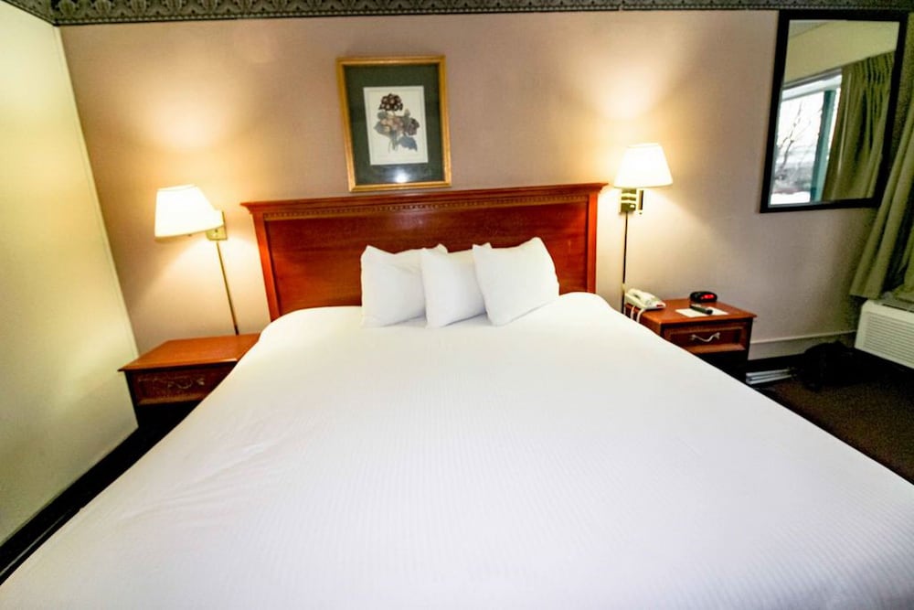 Deluxe Room, 1 King Bed, Non Smoking photo 2