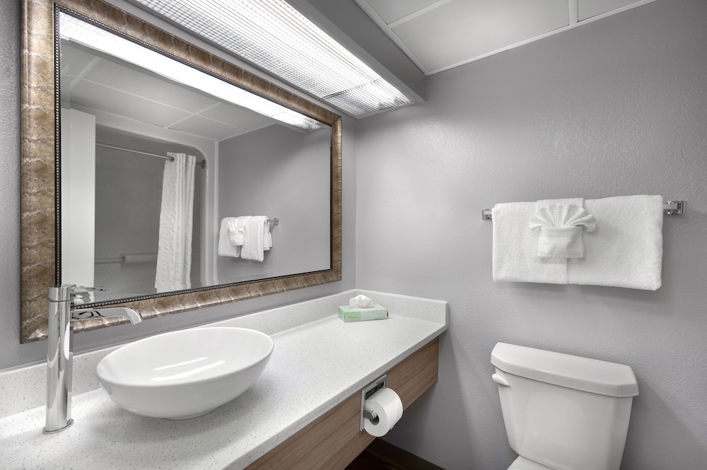 Room, Oceanfront - Photo 4