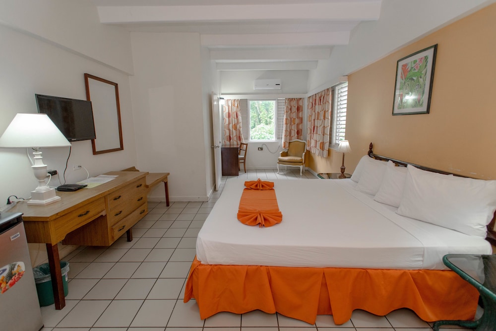 Standard Room, 1 King Bed