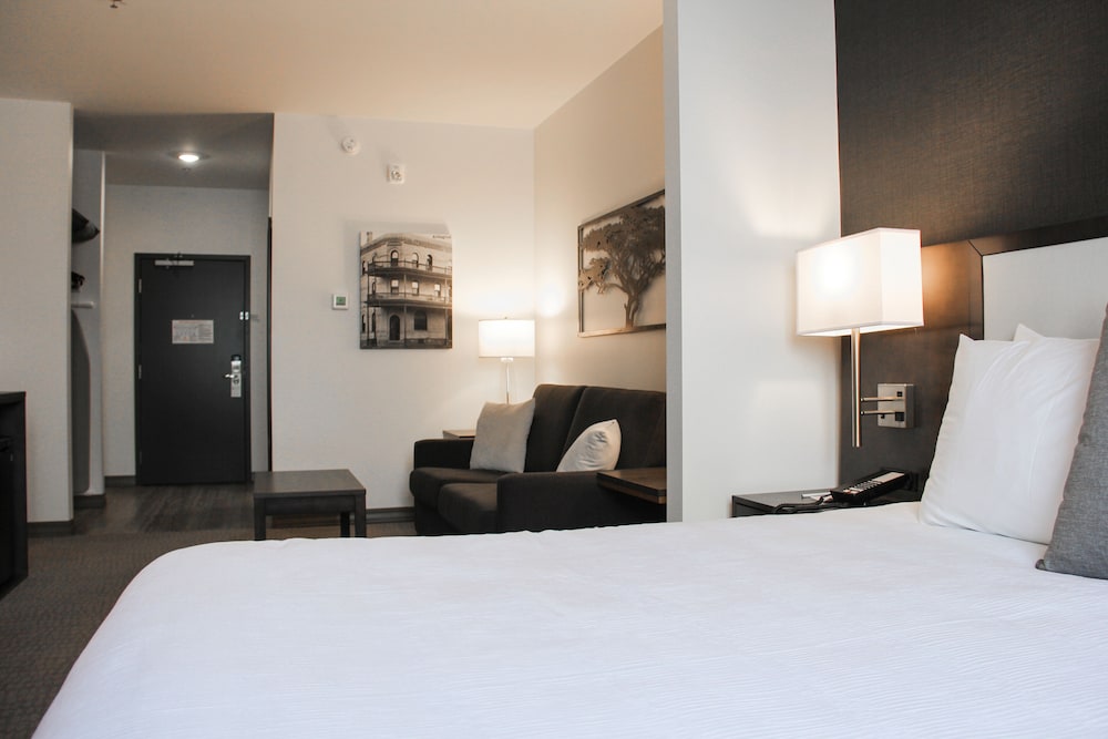 Suite, 1 King Bed, Refrigerator & Microwave (Shower Only;with Sofabed) - Photo 3
