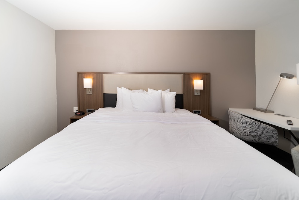 Standard Room, 1 King Bed, Non Smoking - Photo 10