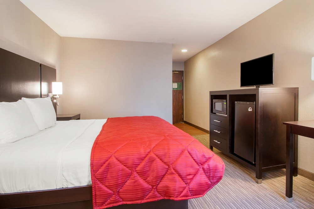 Standard Room, 1 King Bed, Accessible - Photo 2