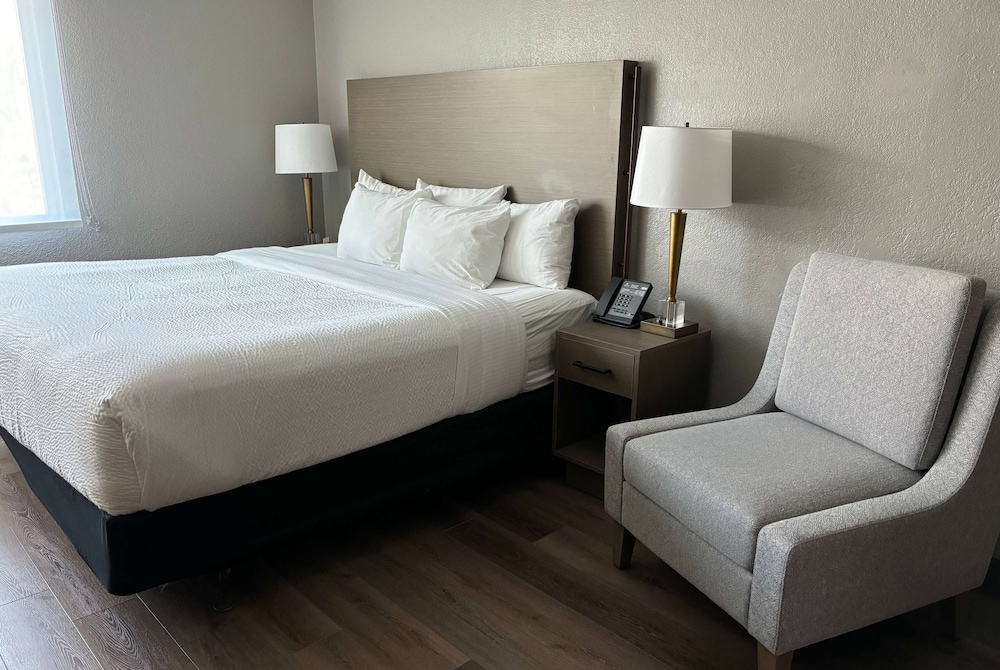 Studio, 1 King Bed, Non Smoking, Kitchenette