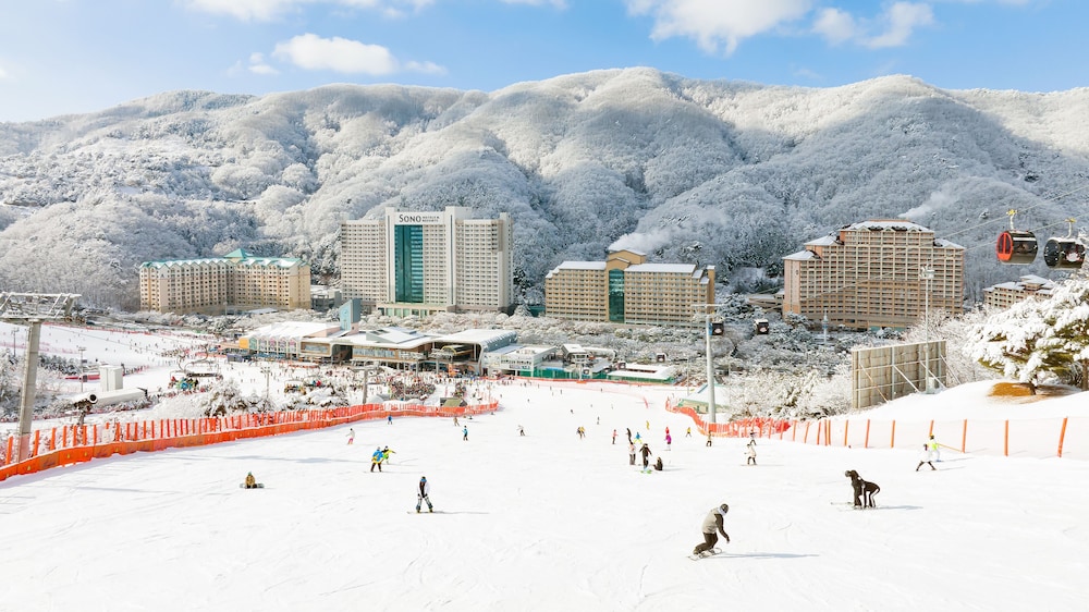[15th WinterMemory]Silver Suite(Kitchen/Park View/Bed)-SnowyLand or SkiLift 3hour for 2people+1 Wine