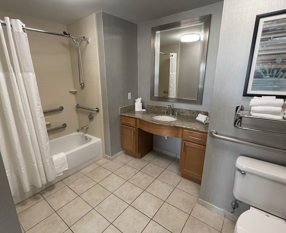 Studio, 1 King Bed, Accessible, Bathtub - Photo 6