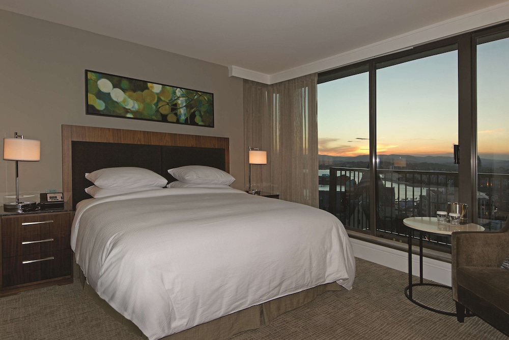 King, Family Suite, Kitchenette photo 1