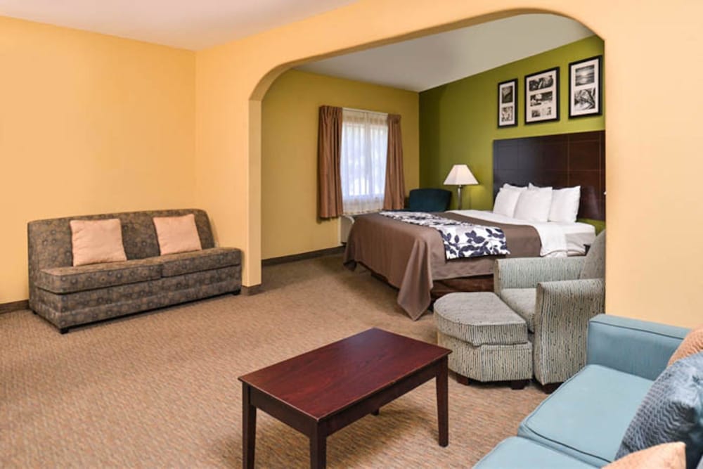 Suite, 1 King Bed, Non Smoking - Photo 3