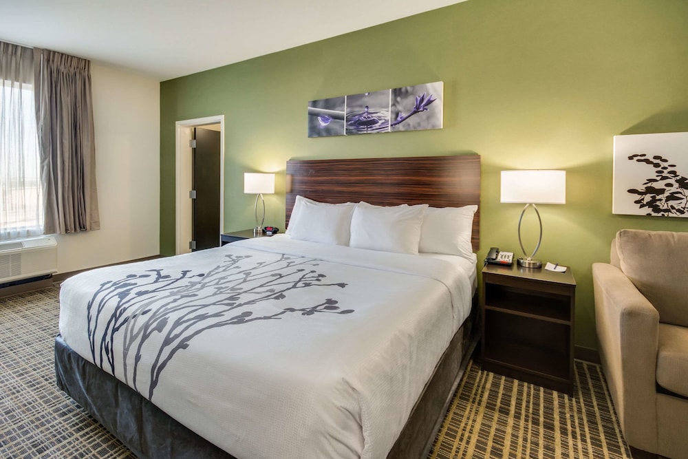 Suite, 1 King Bed, Non Smoking (Upgrade) photo 2