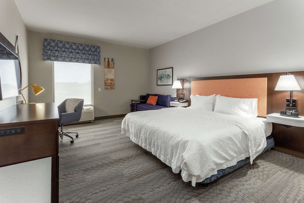 Room, 1 King Bed, Accessible - Photo 4