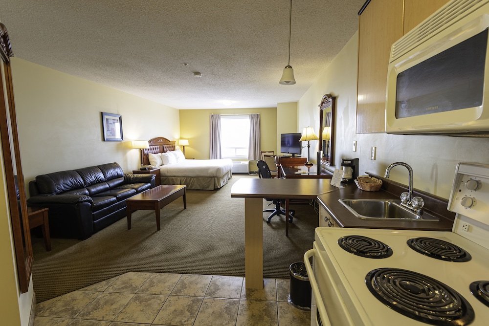 Standard Room, 1 King Bed with Sofa bed, Smoking (Efficiency) - Photo 3