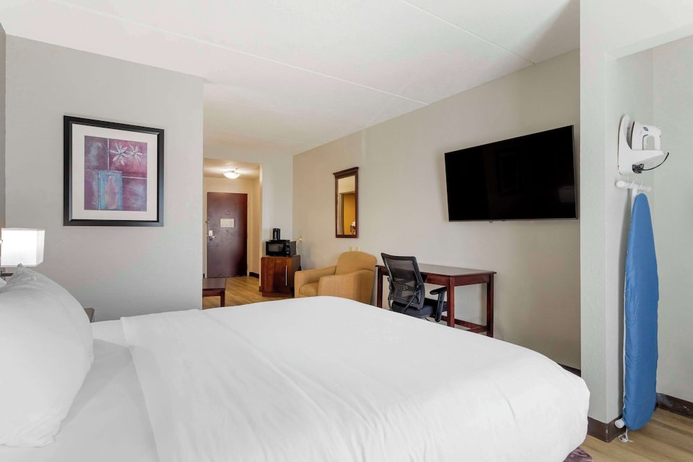 Suite, 1 King Bed with Sofa bed, Accessible, Non Smoking - Photo 5