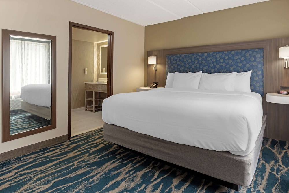 Standard Suite, 1 King Bed, Non Smoking - Photo 15