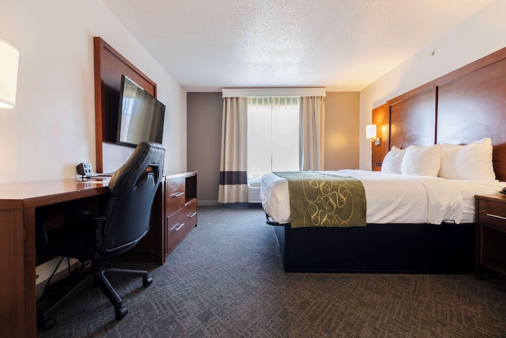 Suite, 1 King Bed, Non Smoking - Photo 8