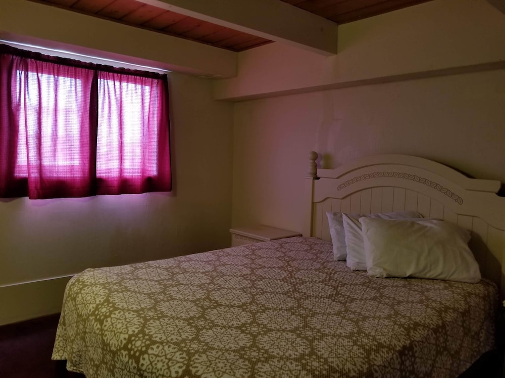 Economy Single Room photo 2